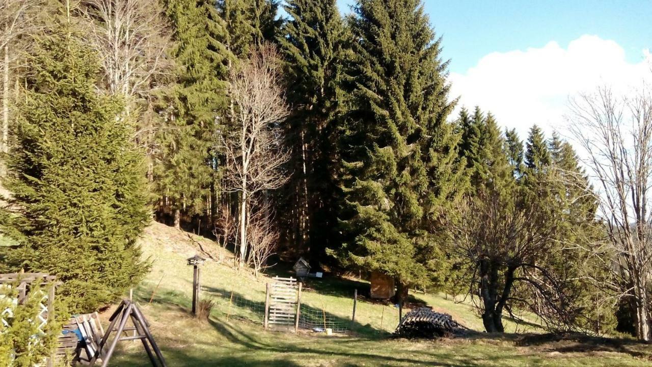 Gaestehaus Fridolin クリーグラッハ エクステリア 写真