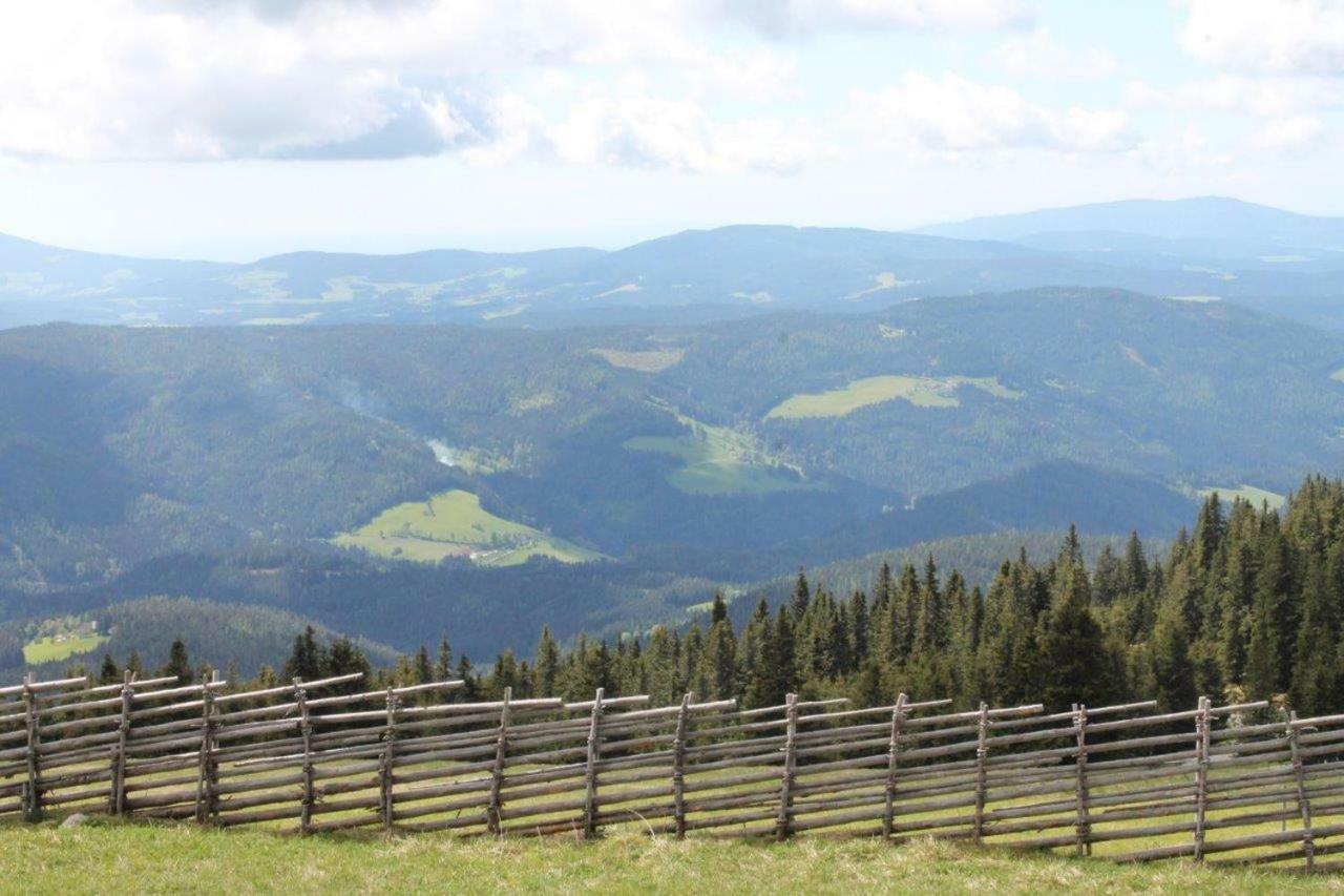 Gaestehaus Fridolin クリーグラッハ エクステリア 写真