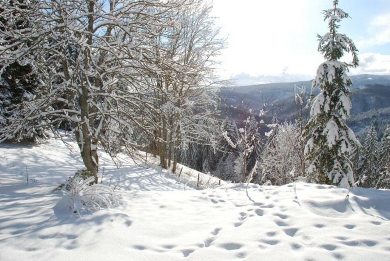 Gaestehaus Fridolin クリーグラッハ エクステリア 写真